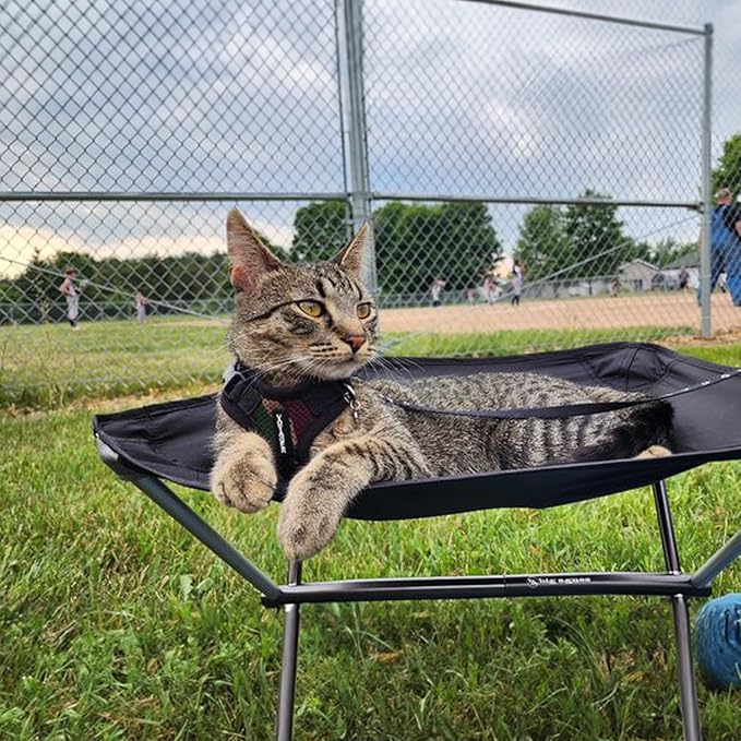 Voyager Step-in Lock Adjustable Cat Harness w. Cat Leash Combo Set with Neoprene Handle 5ft - Supports Small, Medium and Large Breed Cats by Best Pet Supplies - Army/Black Trim, XXXS