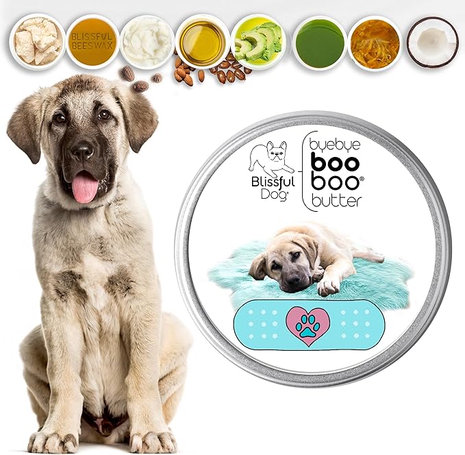 The Blissful Dog Anatolian Shepherd Boo Boo Butter, 2 Ounce