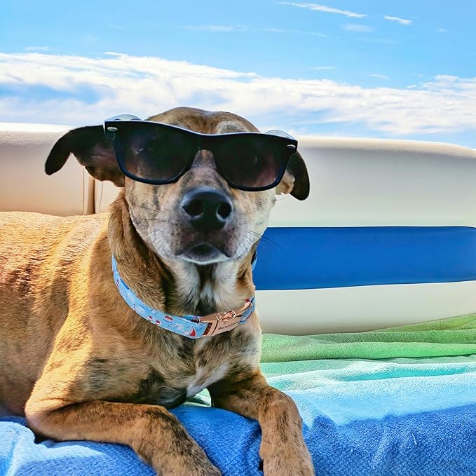 Nautical Themed Dog Collar,Handmade Cotton Puppy Collar with Sailboats,Seagulls Parttern, Adjustable Colllar for Small Medium Large Dogs, Perfect for Daily Walks, Photos,Beach & Vacation- L