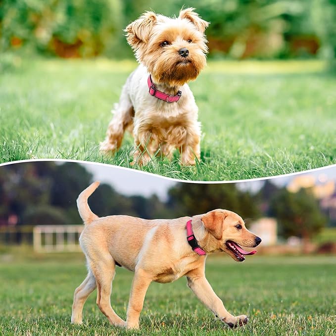 Reflective Dog Collar Padded with Soft Neoprene Breathable Quick Release Basic Dog Collars for Puppy Small Dogs Hot Pink