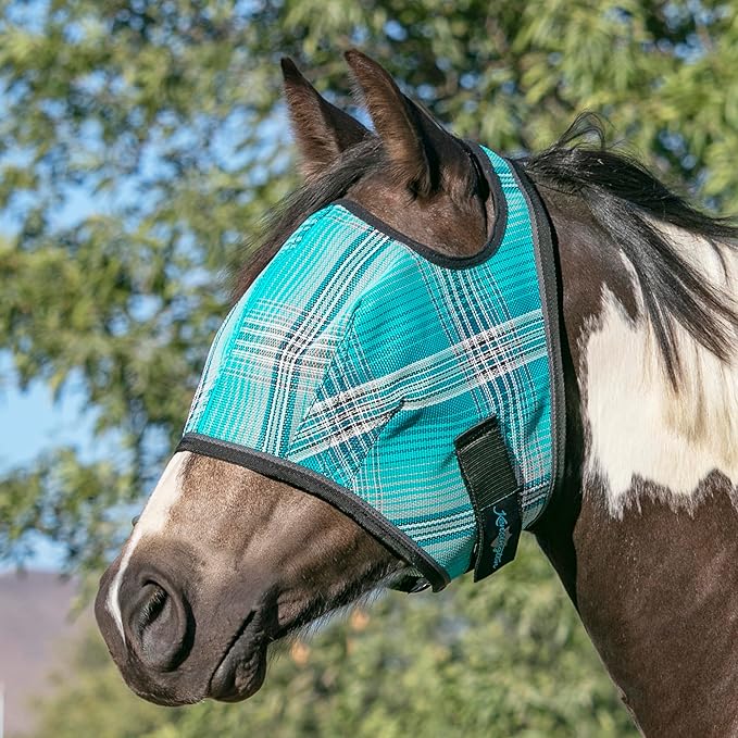 Kensington Fly Mask Web Trim Protects Horses Face and Eyes from Bites and Sun Rays While Allowing Full Visibility Ears and Forelock Able to Come Through The Mask, Medium, Atlantis