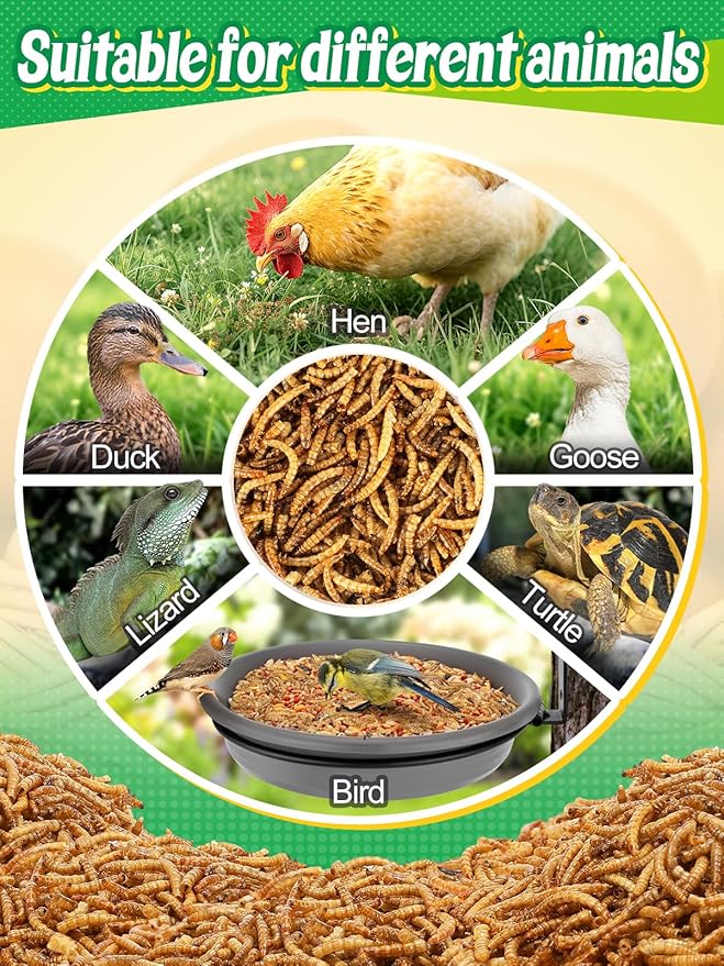Mealworms Chicken Treats 2 Lbs with Handle Packing, High-Protein Promote Egg Production, Natural Chicken Feed for Laying Hens Wild Birds Ducks