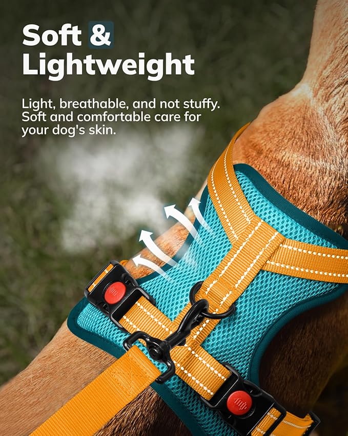 MIDOG No-Pull Dog Harness | Adjustable & Reflective Pet Harness Leash Set for Small Medium Large Dogs Walking, Training| No Choke, Front Clip, Soft Padded Vest with Easy Control Handle - Blue, L