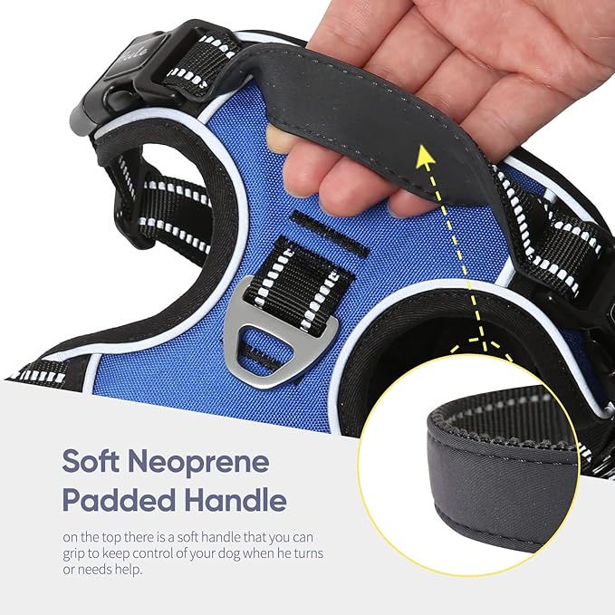 HEELE Dog Harness, No Pull Adjustable Padded Reflective Harness for Small Medium Large Dogs with Handle for Walking Training, Blue, M