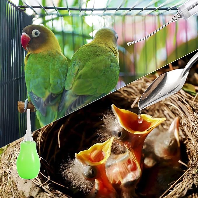 50ML Baby Bird Feeding Syringe Set Pet Syringe with 6 Pcs Curved Gavage Feeding Tubes and Bird Drinker Stainless Steel Metal Feeding Spoon for Baby Birds Parrot Small Pet