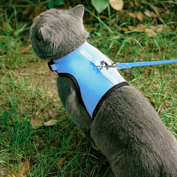 PUPTECK Soft Mesh Cat Vest Harness and Leash Set Puppy Padded Pet Harnesses Escape Proof for Cats Small Dogs Rabbits Bunny