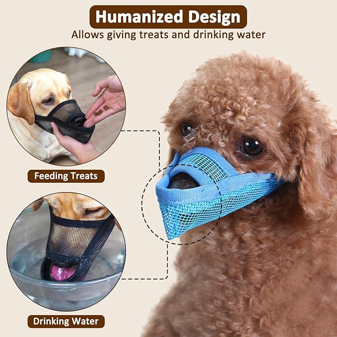 Crazy Felix Nylon Dog Muzzle for Small Medium Large Dogs Dachshund Beagle Poodle Labrador, Air Mesh Breathable and Drinkable Pet Mouth Guard for Anti-Biting Chewing Scavenging(M, Blue)