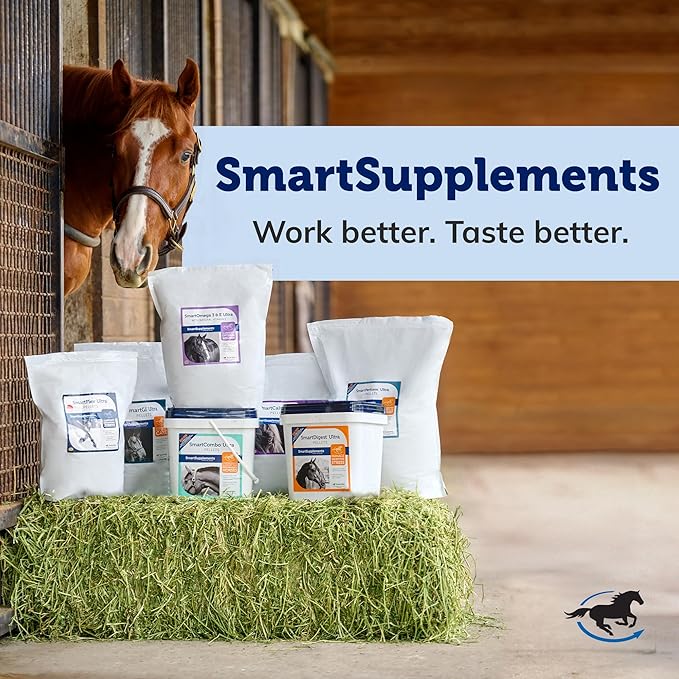 OutSmart® Fly Spray | Plant-Based Mosquito, Tick, and Fly Spray Repellent for Horses and Riders | Fresh Scent | 1 Gallon