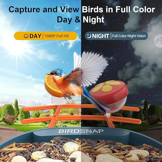 birdsnap® PAV- Bird Feeder with Camera Solar Panel, 2K HD & 64GB Card, AI Identify Bird Species Smart Bird House with Camera, Record Video Live View, Auto Capture, Ideal Gift for Birds Lover