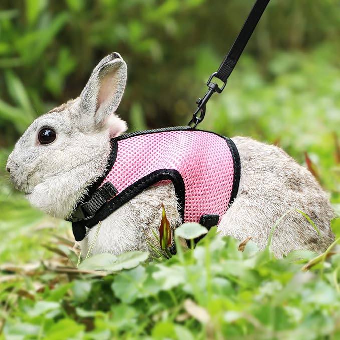 PETTOM Bunny Rabbit Harness with Stretchy Leash Cute Adjustable Buckle Breathable Mesh Vest for Kitten Small Pets Walking (Pink,XL)