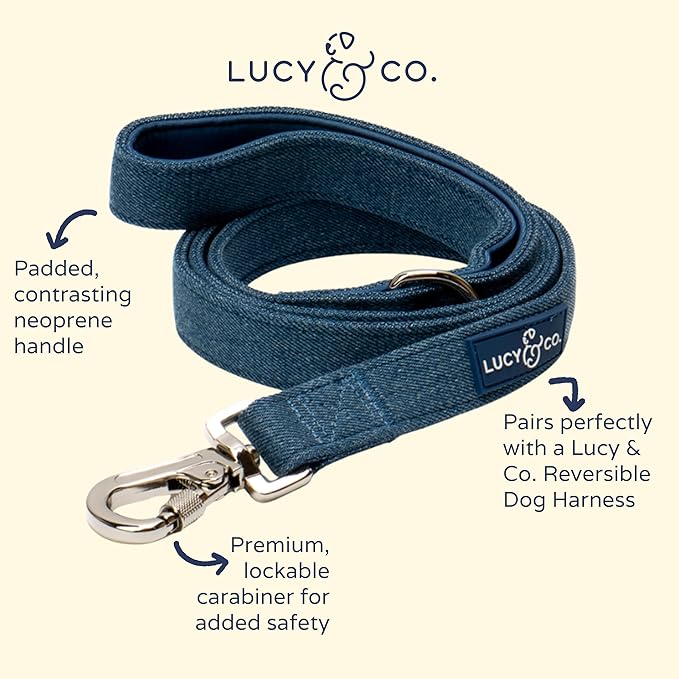 Lucy & Co. 5 Foot Designer Dog Leash for Small, Medium or Big Dogs or Puppies Puppy – Pet Accessories & Supplies- Large-Blue Denim