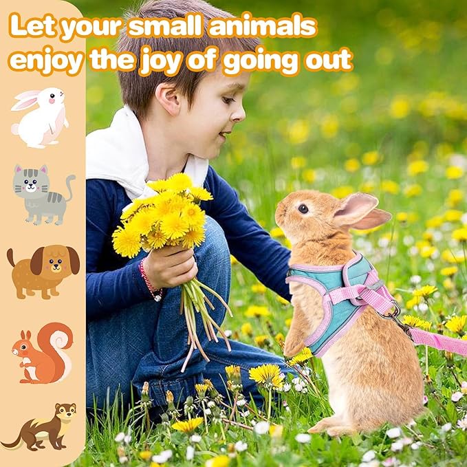 PINVNBY 2 Pack Bunny Hsrness and Leash Set Adjustable Rabbit Harness with Reflective Strips Double Buckle Pet Vest Eescape Proof for Small Rabbit Kitten Puppy Walks Accessories (Pink Green, S)