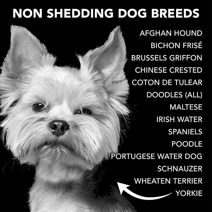 Pride and Groom The Non Shedder | Dog Grooming Shampoo for Doodles and Dogs That Do Not Shed | Tearless All Natural Body Wash with Coat-Specific Ingredients That Enhance Shine – 16oz (Pack of 2)