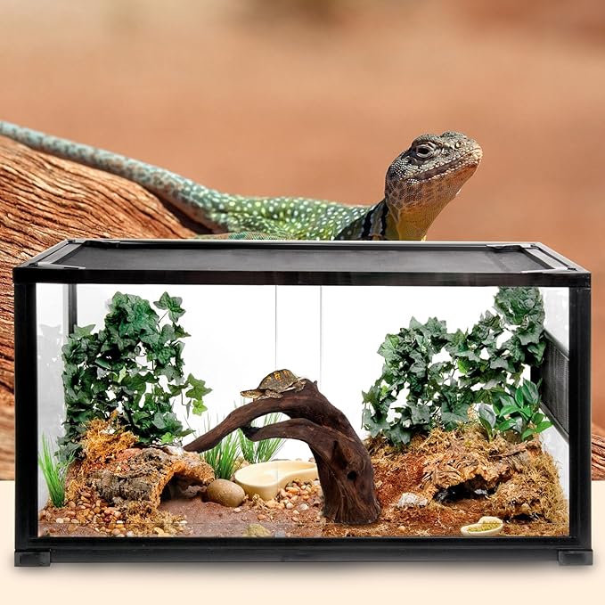 LYPHARD AQUARIUMS Natural Driftwood for Aquarium Decor, 2 Pieces 9-14" Large Assorted Branch Decorations for Reptile Hide, Fish Tank