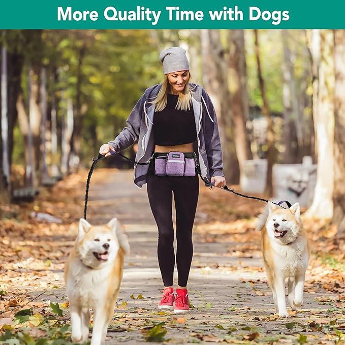 PetAmi Premium Hands Free Dog Leash for 2 Dogs, Adjustable Waist Belt Leash for Dog Walking, Fanny Pack Accessories Bag Dual Bungee Leash for Running, Hiking, Jogging, Biking, Purple