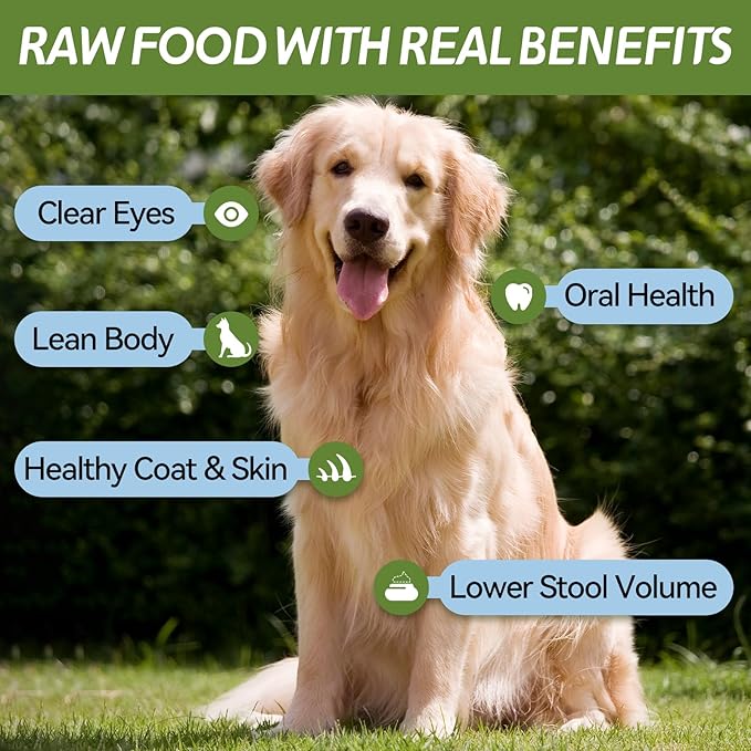 OPET Freeze Dried Duck Cat Treats, Single Ingredient Grain Free High Protein Pet Food for Cats and Dogs, Healthy Training Snacks,Freeze Dried Duck Breast Sliced Fillets (Duck Breast, 1.48 Ounce)