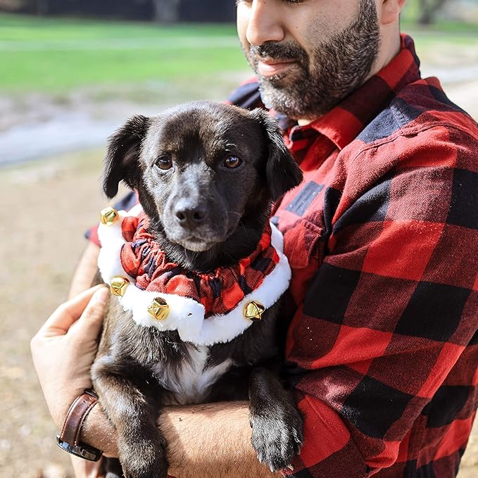 Huxley & Kent Ruff Pet Scrunchy | Buffalo Check (Extra-Small) | Festive Christmas/Holiday Neckwear for Dogs/Cats | Fun Stretchable Costume Accessory | Soft Collar with Bells