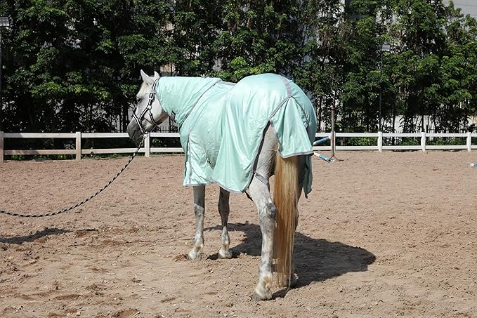Horse Fly Sheet with Detachable Neck Cover & Belly Wrap, Adjustable Fly Sheet for Horses, Ventilated Airflow Mesh Equine Cooling Summer Flysheet Green 72