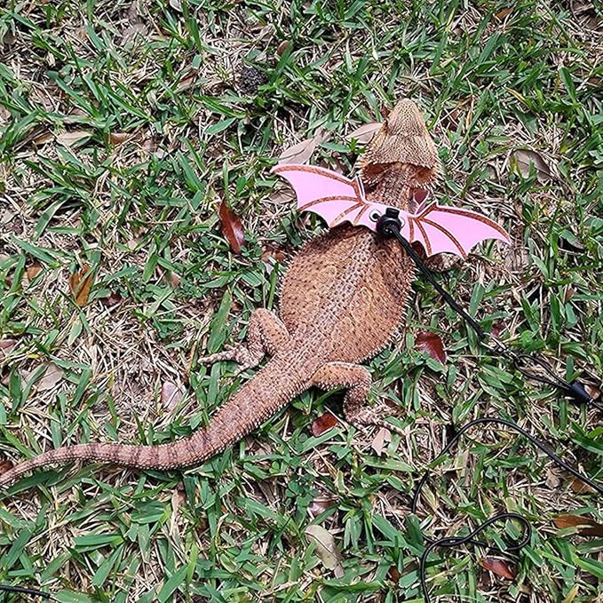 Adjustable Lizard Harness and Leash Set with Wings 3 Pack S M L Soft Leather Reptile Costume Accessories for Bearded Dragon Chameleon Guinea Pig Small Animals Blue