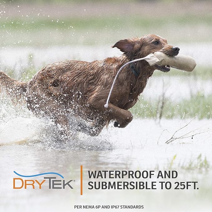 SportDOG Brand SportHunter 825X Dog Training Static Collar with Remote, 1/2 Mile Range Waterproof Dog E-Collar, Submersible up to 25 Ft, Rechargeable Training Device with Static, Vibrate and Tone