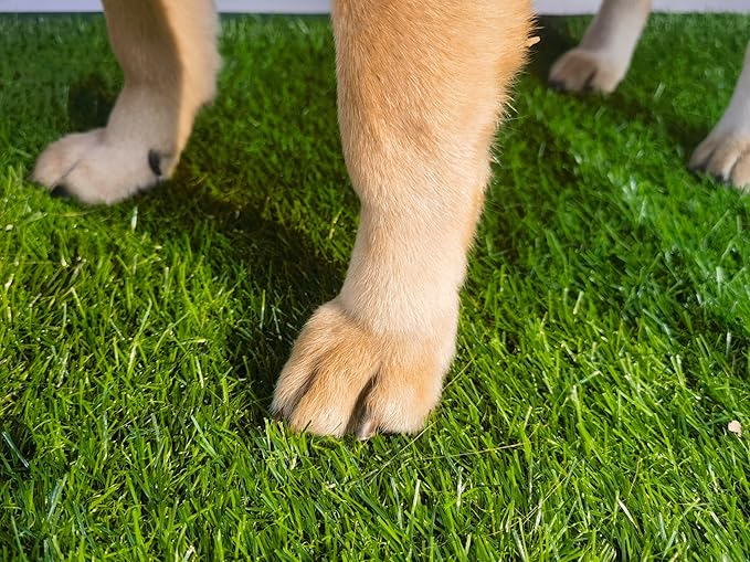 Artificial Grass Turf Pad for Dog Potty Training 22 x34 in (Replacement Grass)