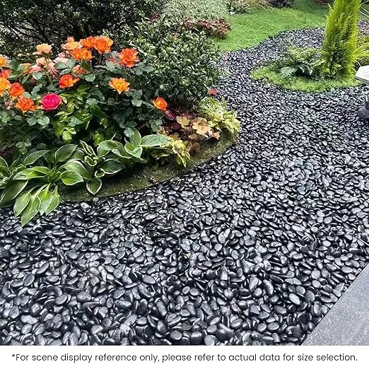 SIDONG 10 LB Black River Rocks, 0.3-0.5 Inches High Polished Pebbles for Indoor Plants, Aquarium Rocks Used in Fish Tank, Decorative Stones for Plants, Vases, Home DΓ©cor, Crafting, Garden Landscaping
