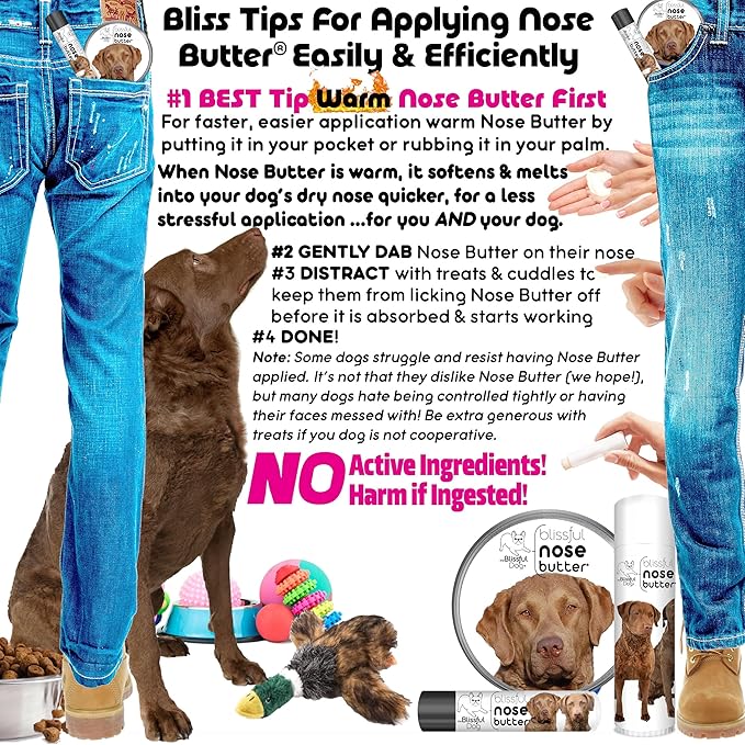 The Blissful Dog Chesapeake Bay Retriever Unscented Nose Butter, 0.15-Ounce