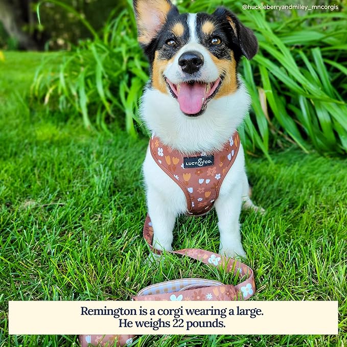 Lucy & Co. 5 Foot Designer Dog Leash for Small, Medium or Big Dogs or Puppies Puppy - Pet Accessories & Supplies -(Chocolate Meadow, Small)