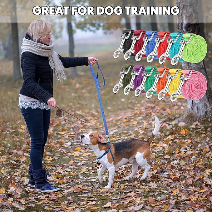 Hillban 36 Pcs Dog Leash Bulk 5 ft Multicolored Puppy Training Leash Slip Pet Traction Nylon Rope for Small Medium Dogs Agility, Yard, Camping, Backyard Play(12 Colors)