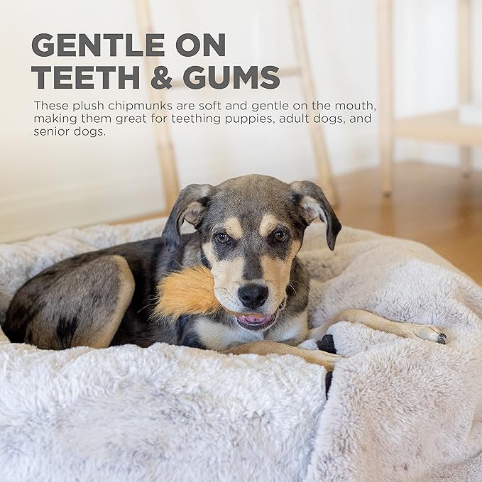 Outward Hound Nina Ottosson Plush Replacement Chipmunk Toys for Snuffle N' Treat Dog Ball Puzzle - 3 Pack