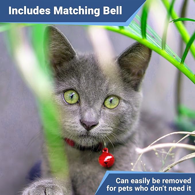 GoTags Cat Collars with Personalized Tag, Breakaway Collar with Safety Buckle Matching Bell, Engraved Custom with Name and Phone, Adjustable for Cats and Kitten, (Red with Nameplate)