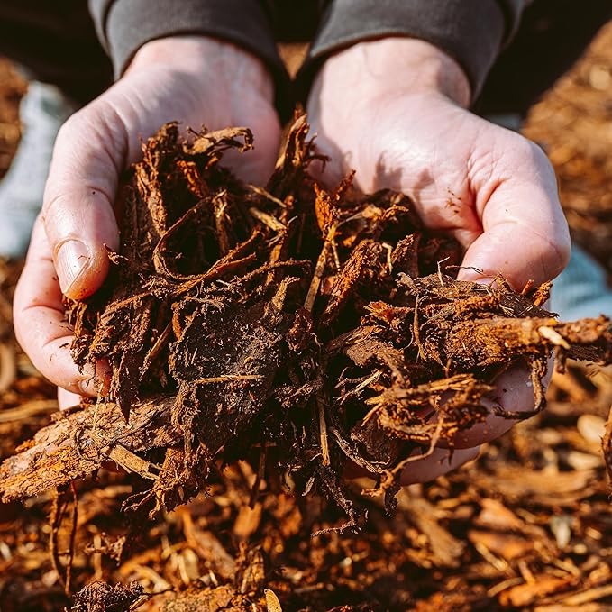 Premium Gold Wood Mulch for Landscaping, Gardens, Lawns, Potting Media, and Potted Plants (0.7 CF - 20 L - 21 QTS)