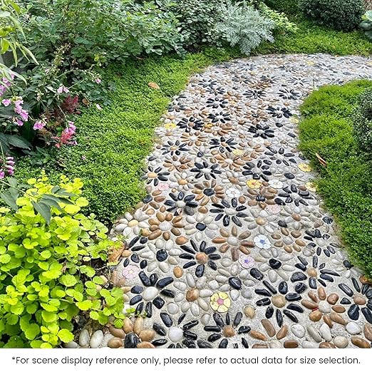 SIDONG 5 LB Mixed River Rocks, 0.4-1.2 Inches Highly Polished Pebbles for Indoor Plants, Decorative Stones for Plants, Fish Tank, Vases, Home DΓ©cor, Crafting, Garden Landscaping