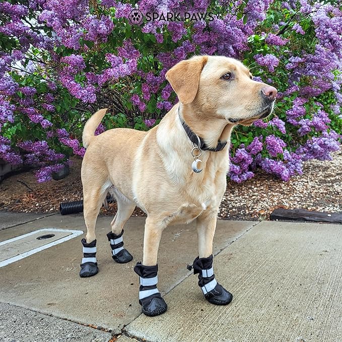 Spark Paws Dog Shoes, Waterproof Dog Boots for Medium to Large Dogs, Non Slip, Breathable Dog Booties and Paw Protectors - 4PCS Doggie Hiking Boots with Reflective Straps - Black, Size 3