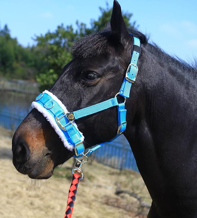 T TEKE Lunge Cavesson with Fleece Lined Nose Band and Crown