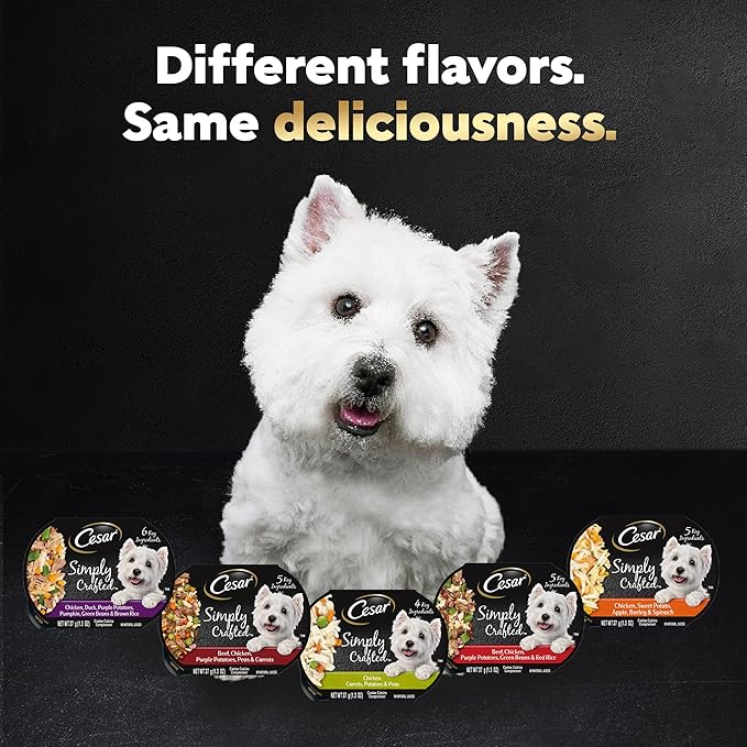 Cesar Simply Crafted Adult Wet Dog Food Meal Topper, Beef, Chicken, Purple Potatoes, Peas & Carrots, 1.3oz. (10 Count, Pack of 1)