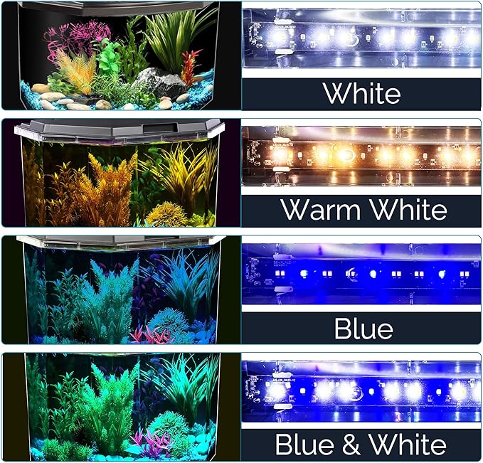 Koller Products 6.5-Gallon Aquarium Kit with Power Filter and LED Lighting, (AP650)