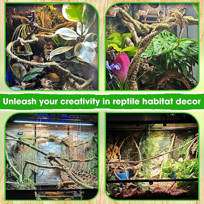 Duspro 6.5FT Reptile Vine & Moss Set for Climbing Bendable Branch, Natural Moss Rope Jungle Decor for Bearded Dragon, Chameleon Tank Accessories, Snake Gecko Lizard Terrarium