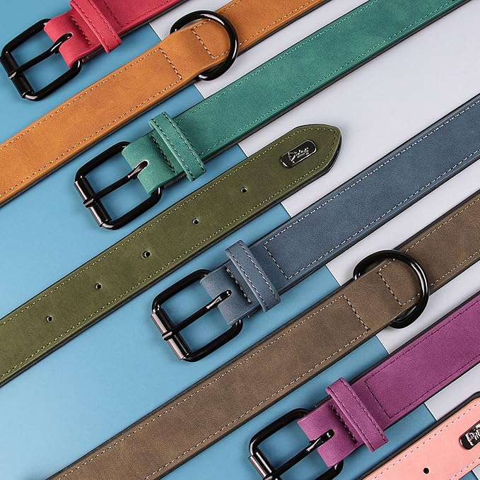 Didog Soft Padded Leather Dog Collar, Breathable Heavy Duty Dog Collar Leather with Adjustable Rust-Proof Metal Buckle for Small Medium Large Dogs, Green, M: Total length 16'', Fit 11-13''Neck