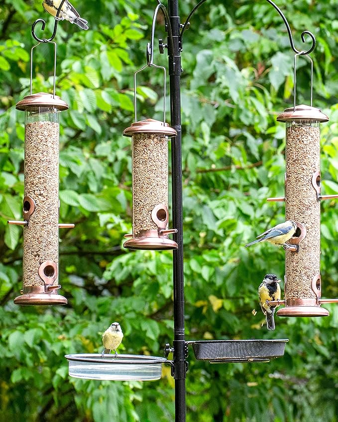 iBorn Plastic Bird Bath Bowl for Outside on Ground,Bird Water Dish Repalcement,Indoor/Outdoor Ground Bowl 6.78inch,2 Pack