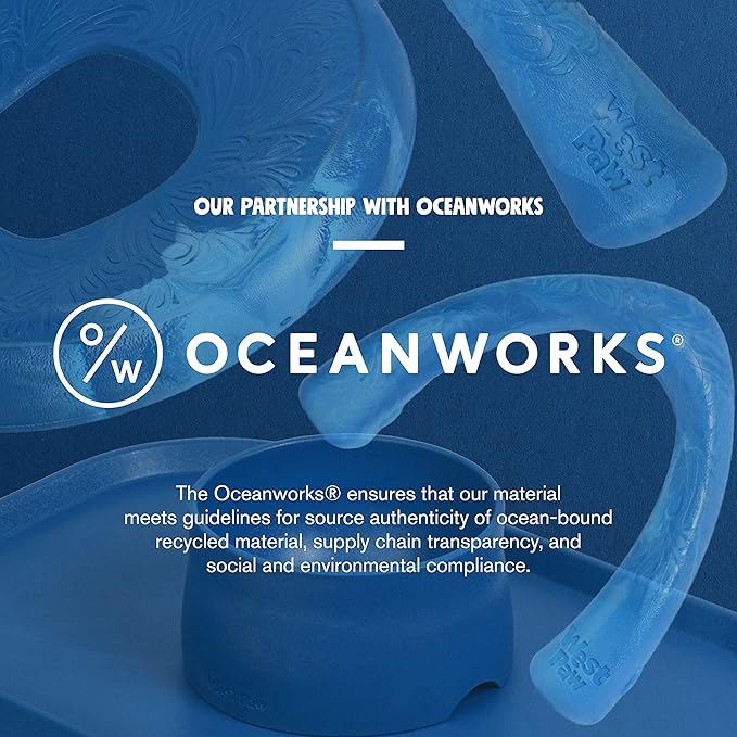 WEST PAW Seaflex Drifty Dog Toy – Machine Washable Dog Toys for Moderate Chewers – Eco-Friendly Zogoflex Toys for Dogs – Perfect for Gnawing, Fetch, Catch, Pet Training – 8.5" Large, Emerald