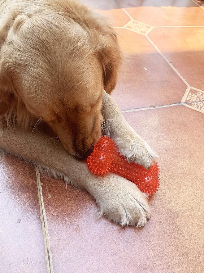 Jalousie Dog Squeaky Toys Value Set Non-Toxic Squeaky Balls Toss Fetch TPR Rubber Puppy Toys Spikey Dog Chew Toy for Small Medium Breed Pet Toys for Puppy (6 Pack Assorted)