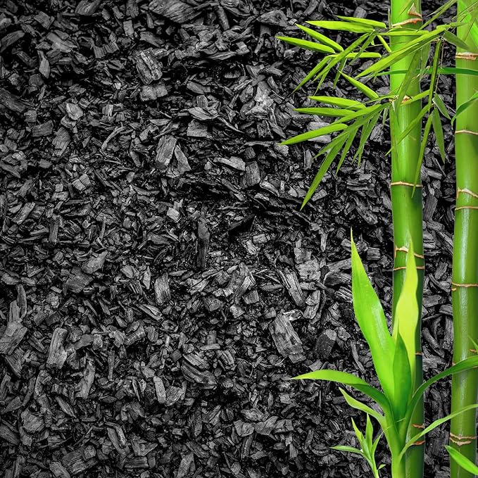 Horticultural Charcoal for Plants β Organic Bio Char Soil Amendment for Terrariums, Indoor Plants & Gardening, Made in USA (20 quarts)