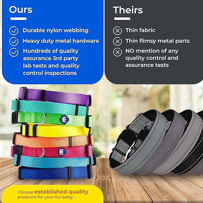 Blueberry Pet Essentials X-Small Dog Collar in Emerald | Adjustable & Eco-Friendly Durable Nylon Strap | Classic Collar for X-Small Dogs, Boy & Girl Pets