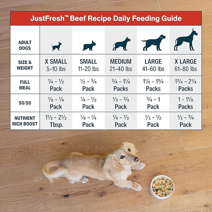 JustFoodForDogs JustFresh Wet Dog Food, Fresh Pet Meals and Toppers with No Preservatives, Resealable Package, Human Grade, Home-Cooked Beef, 12 oz - 7 Pack