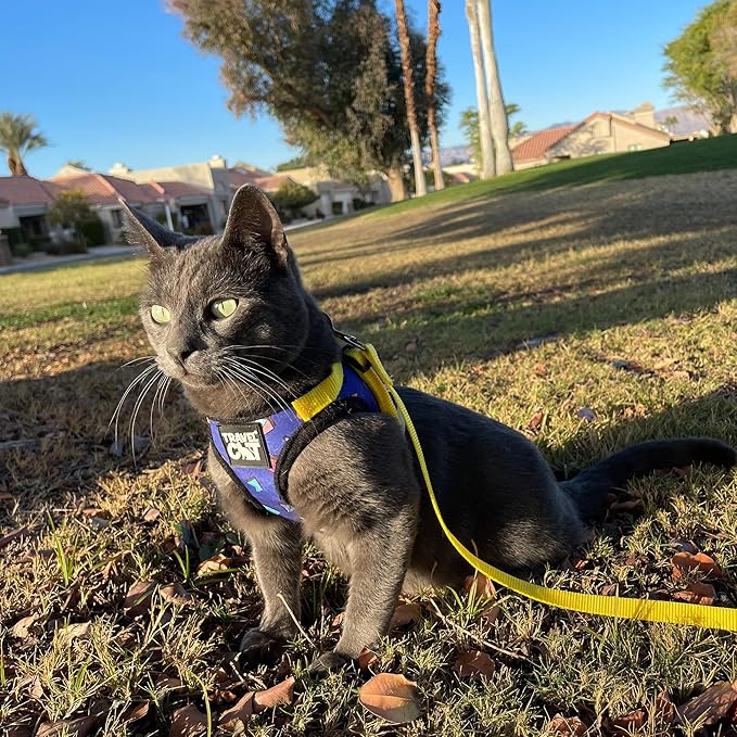 Travel Cat Harness and Leash Set - Adjustable Fit Harness and Reflective Strap - Comfort Walking Vest for Kitten for Outdoor Walking, Hiking (X-Small, 90s Cat)