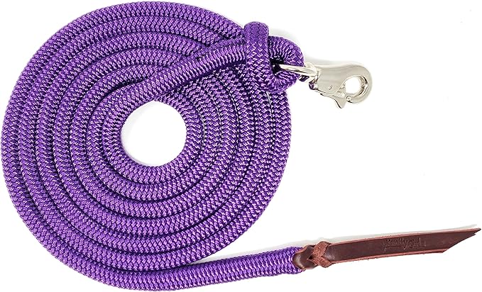 12FT Lead Rope with NP Snap
