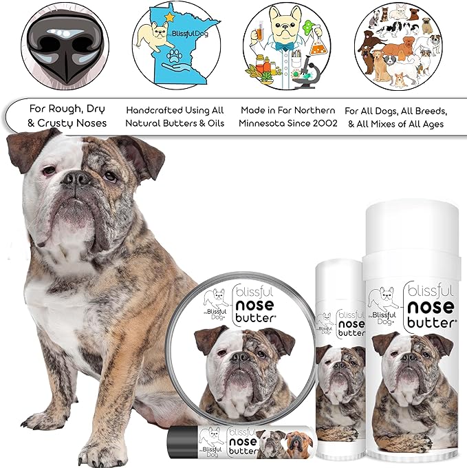 The Blissful Dog Olde English Bulldogge Nose Butter for Dry, Cracked Skin, Lick-Safe Dog Nose Balm with Moisturizing Shea Butter, Almond, Olive, and Essential Oils, Pet Supplies, Uncented, 2 oz.