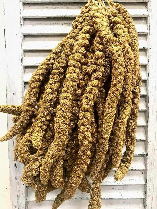 Nemeth Farms Worlds Freshest GMO-Free, Sun Dried Spray Millet No Stems Only Edible - Tops-Original Bird Treat and Supplement for Pet Birds Parakeets, Cockatiels, Lovebirds and Finches - 5lbs