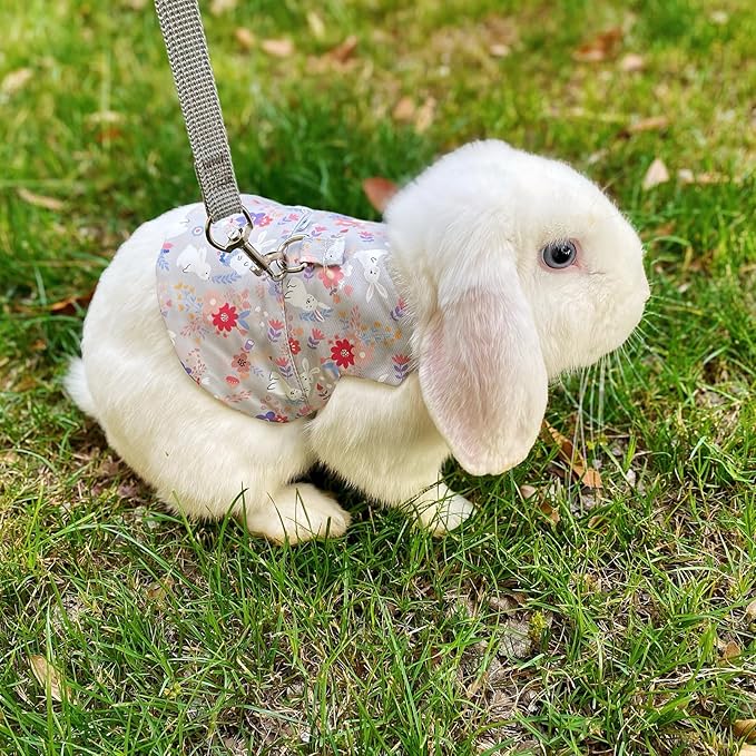 2-Pack Small Pet Harness & Leash Set – Soft, Adjustable Vest for Rabbits, Kittens, Squirrels & More (Grey, M)